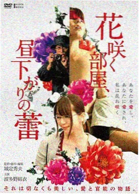 旧城十二时作品封面